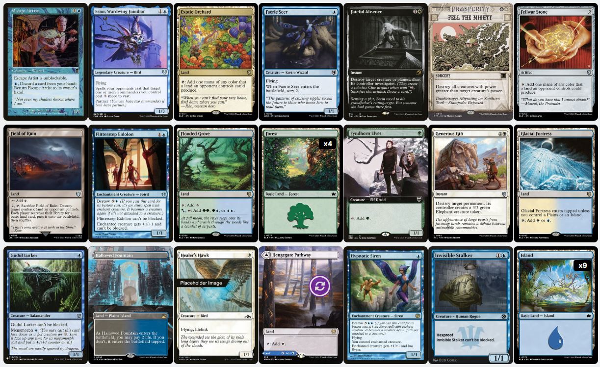 Evasion & Card Advantage - Rigo, Streetwise Mentor - Custom Commander Deck