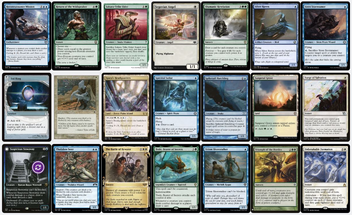 Evasion & Card Advantage - Rigo, Streetwise Mentor - Custom Commander Deck