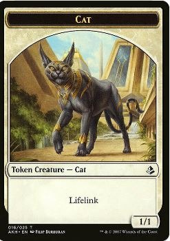 Tokens